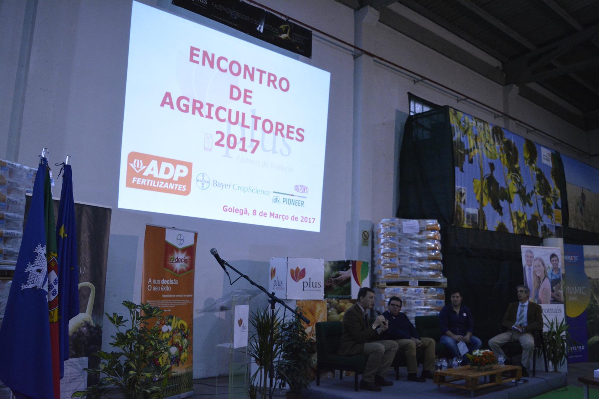 Mesa Redonda